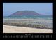 Thumbnail-9