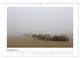 Thumbnail-11