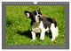 Thumbnail-9