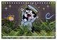Thumbnail-12