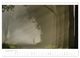 Thumbnail-11