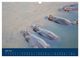 Thumbnail-11