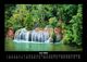 Thumbnail-10