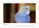 Thumbnail-13