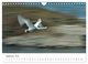 Thumbnail-11