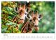 Thumbnail-12