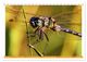 Thumbnail-8