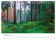Thumbnail-12