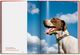 Thumbnail-20