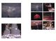 Thumbnail-12