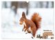 Thumbnail-14