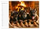 Thumbnail-13