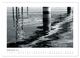 Thumbnail-14