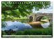 Thumbnail-12