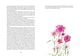 Thumbnail-10