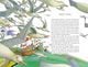 Thumbnail-2