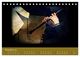 Thumbnail-13