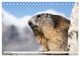 Thumbnail-14