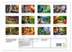 Thumbnail-4