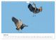Thumbnail-12