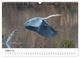 Thumbnail-10