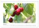 Thumbnail-11