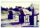 Thumbnail-10