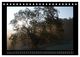 Thumbnail-13