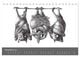 Thumbnail-13