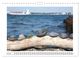 Thumbnail-11