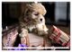 Thumbnail-11