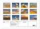 Thumbnail-13