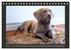 Thumbnail-10