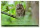Thumbnail-9