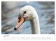 Thumbnail-12