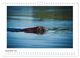 Thumbnail-14