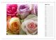 Thumbnail-9