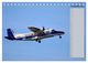 Thumbnail-13