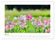 Thumbnail-10