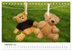 Thumbnail-11