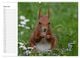 Thumbnail-11