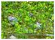 Thumbnail-8