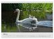 Thumbnail-10