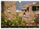 Thumbnail-8