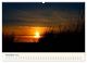 Thumbnail-13