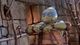 Thumbnail-8