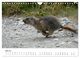 Thumbnail-10