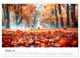 Thumbnail-12