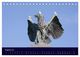 Thumbnail-10