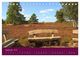 Thumbnail-11